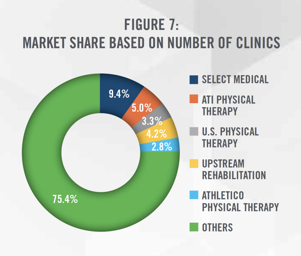 What is the largest physical therapy company in the US?