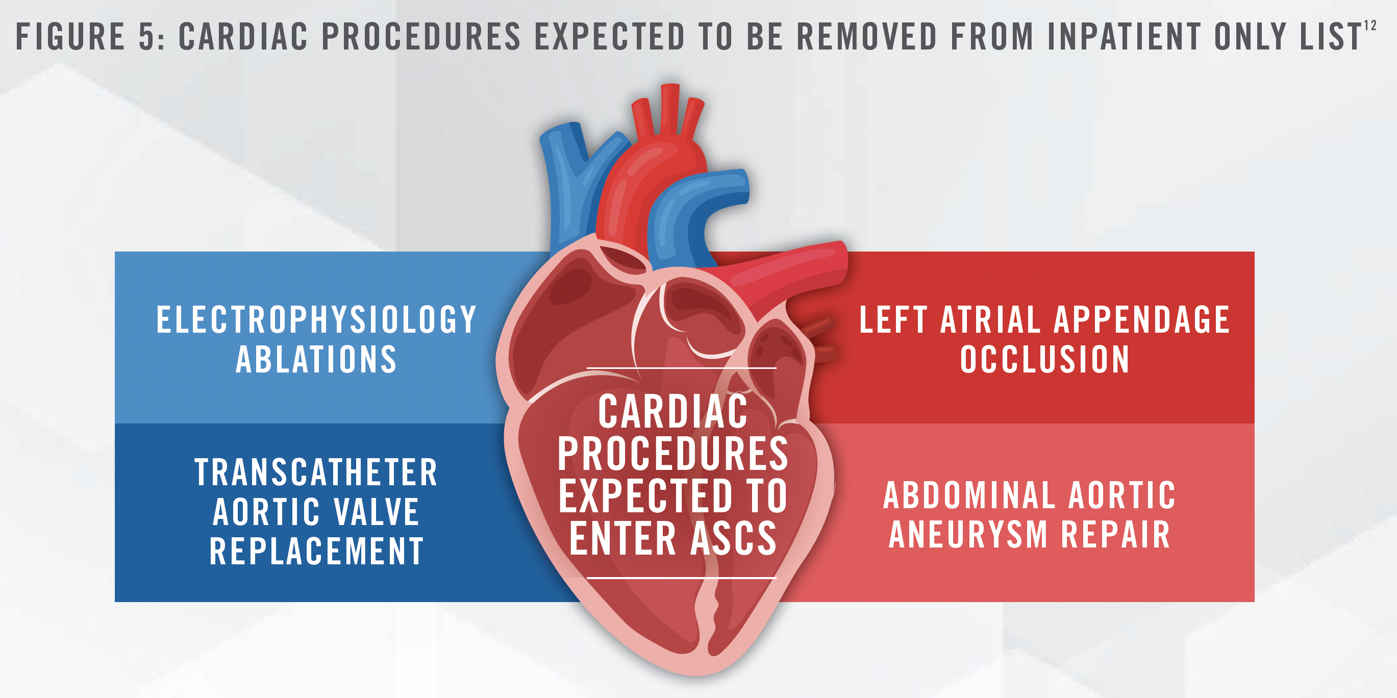 2023 Cardiology Industry Outlook - A Reviving Heartbeat Figure 5
