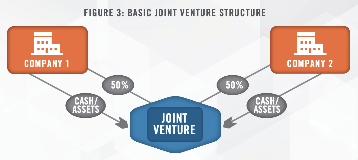 Healthcare Joint Ventures - Know the Value of Your Assets Figure 3
